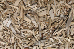 biomass boilers Stackpole Elidor Or Cheriton